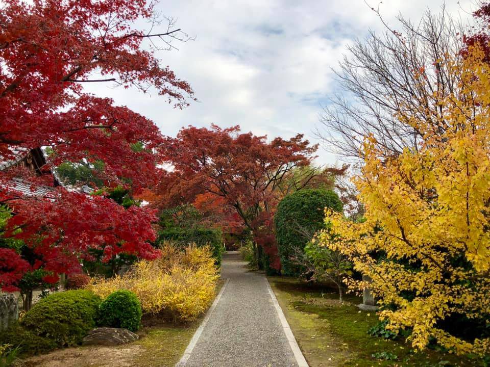 人混みを避けて紅葉満喫。